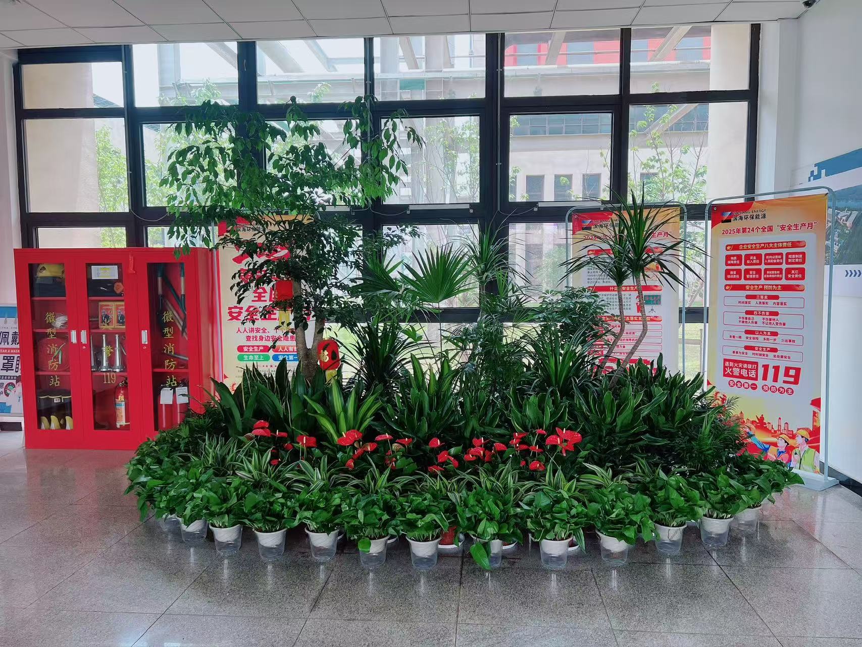 找奉化盆景租赁好地方，看这几家就够了！